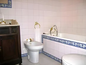 Paco d'Anha - Image 2