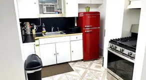 Completely Private 2 BR Apt with Backyard in LIC !!! - Image 3
