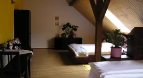 Pension Lažany - Image 2