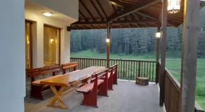 Daisy Forest - Image 4