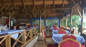 The Palms Beach Hotel Tour Travel - Image 5