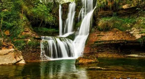 La Granjita del río - Image 4