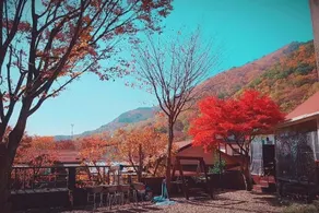 Ulsan (Baenaegol) Ttomannayo Pension - Image 3