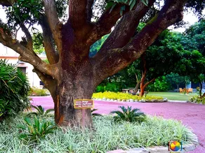 Corbett Wild IRIS Spa and Resort - Image 2