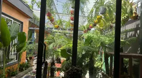 Kim Đồng homestay - Image 4