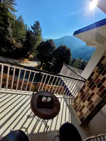 Vikas Hotel And Restaurant - Image 3