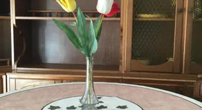 Jolie Maison - Image 3