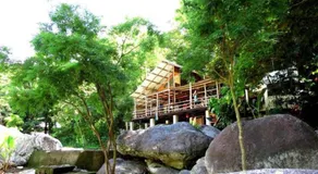 Jungle River Lodge - Image 4