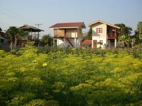 Churn Yuen Pai by Gampanat Guesthouse - Image 3