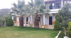 Green House - Image 4