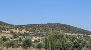Girassol Alojamento Local - Image 5