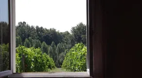 La Petite Auberge - Image 4
