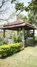 Treetop villa with jacuzzi Pure Veg - Image 4
