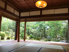 RokuRoku - Image 3