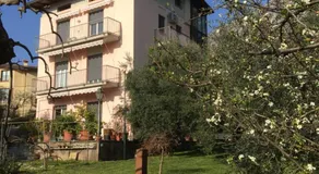 La casa degli ulivi - Image 5