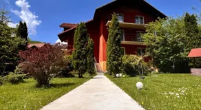 Top Mountain - Image 5