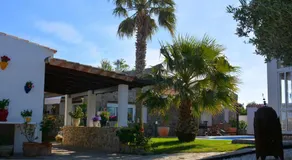 Los años locos - Image 4