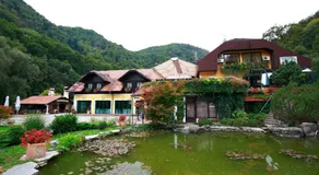 Guesthouse Villa Zelenjak Ventek - Image 3