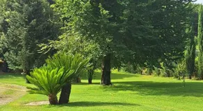 Villa Lucilla - Image 4