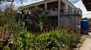 Baias Wine - Image 5