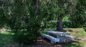 Villa Art Natura, fuldstændig renoveret og nyudstyret (meget godt strøelse) - Image 2