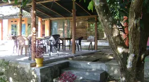 The Nest - Image 4