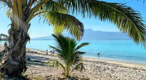Manahiti properties - Image 3