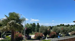 Levar Del Sole - Image 5