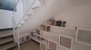 Bouganvillea - Image 3