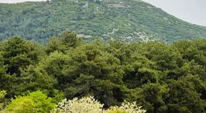 Paul’s Houses - Image 5