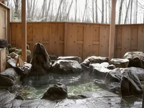 Inn of Four Seasons Subaru - Image 4