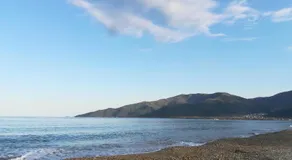 Sunny summer time - Image 5