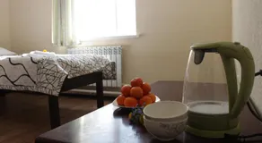 Snow Leopard Hostel - Image 2