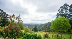 3 Hills at The Good Place - Image 4