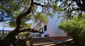 Apartmani Badurina - Maslina - Image 4
