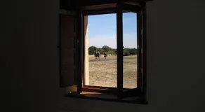 La Candela - Image 4