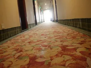 GreenTree Inn LiaoCheng LinQing HaiShan Building Express Hotel - Image 4