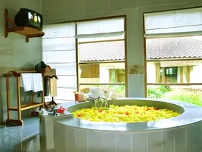 Ubud Hideaway - Image 3