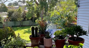 COMFORT QUEEN GARDEN VIEW ROOM MACQUARIE PARK RYDE - Image 5