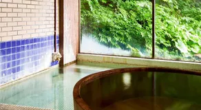 森吉山温泉小さな森の湯 - Image 4
