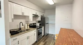 Pinellas Apartment near beach and shopping plazas - Image 4