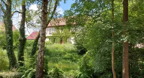 Ferienwohnung 'Frühauf' im Südharz OT Uftrungen - Image 3