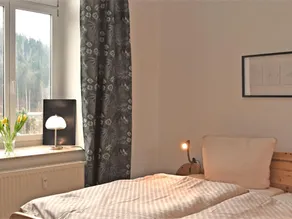 Large apartment in a villa with garden in Borstendorf - Image 3