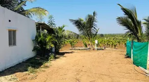 The greenwood Igoor - Image 4