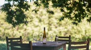 Wine Tourism - Quinta do Ameal - Image 4