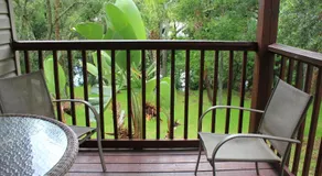TreeHouse à Tampa - Image 5