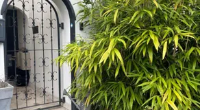 Modern Business Studio - 5 Min to DUS Airport & Messe - Image 2
