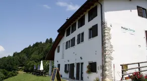Trentino in malga: Malga Zanga - Image 5