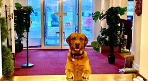 The Lochalsh Hotel - Isle of Skye - Image 4