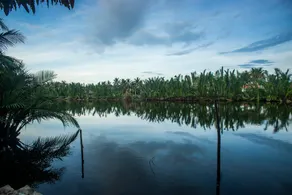 Casa Rio - Riverside holiday house in Hoi An - Image 3